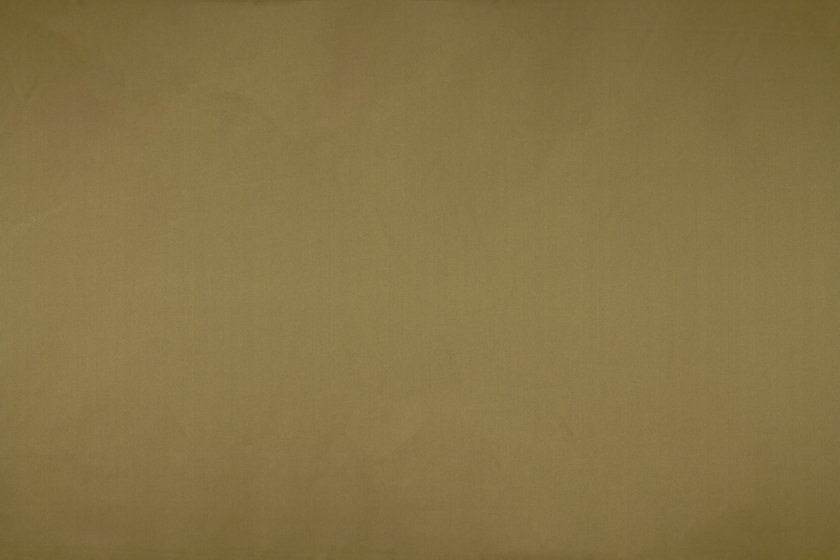 Asina Olive