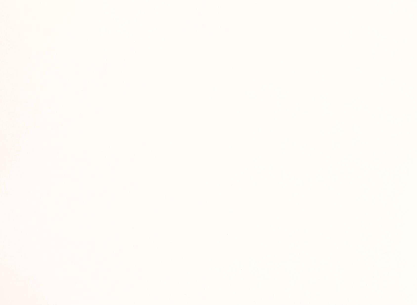 Asper Whitewash W399-01