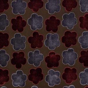 Aster Velvet Red Mauve Charcoal FD568V75