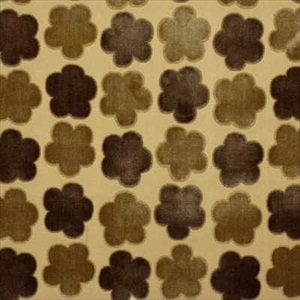 Aster Velvet Sand Coffee FD568N13