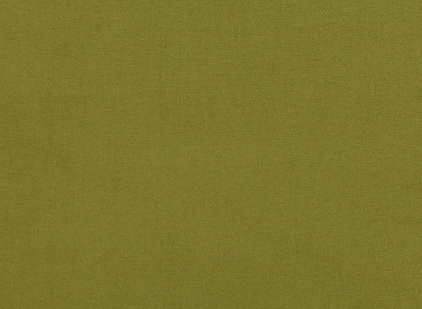 Atlantis Lettuce V3078-20
