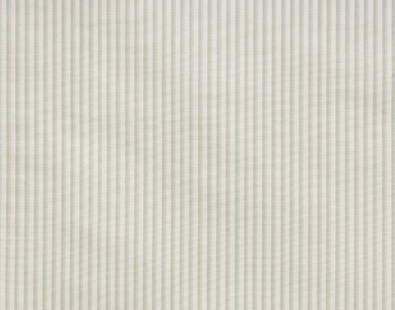 Augustine B7576004