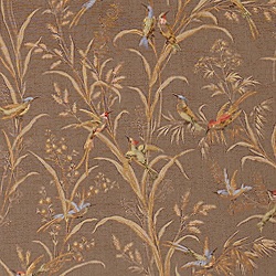 Augustine F94729