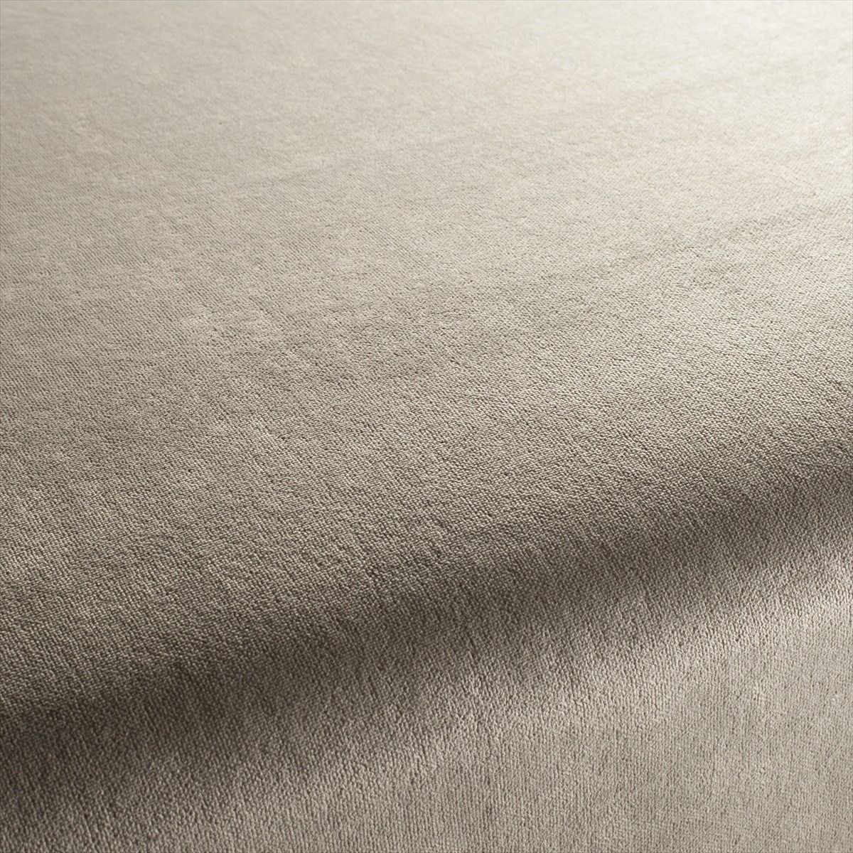 Avant-Garde Velvet CA1363-091