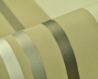 Axell CS 110250-2