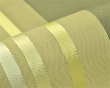 Axell CS 110250-5