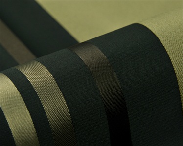 Axell CS 110250-6