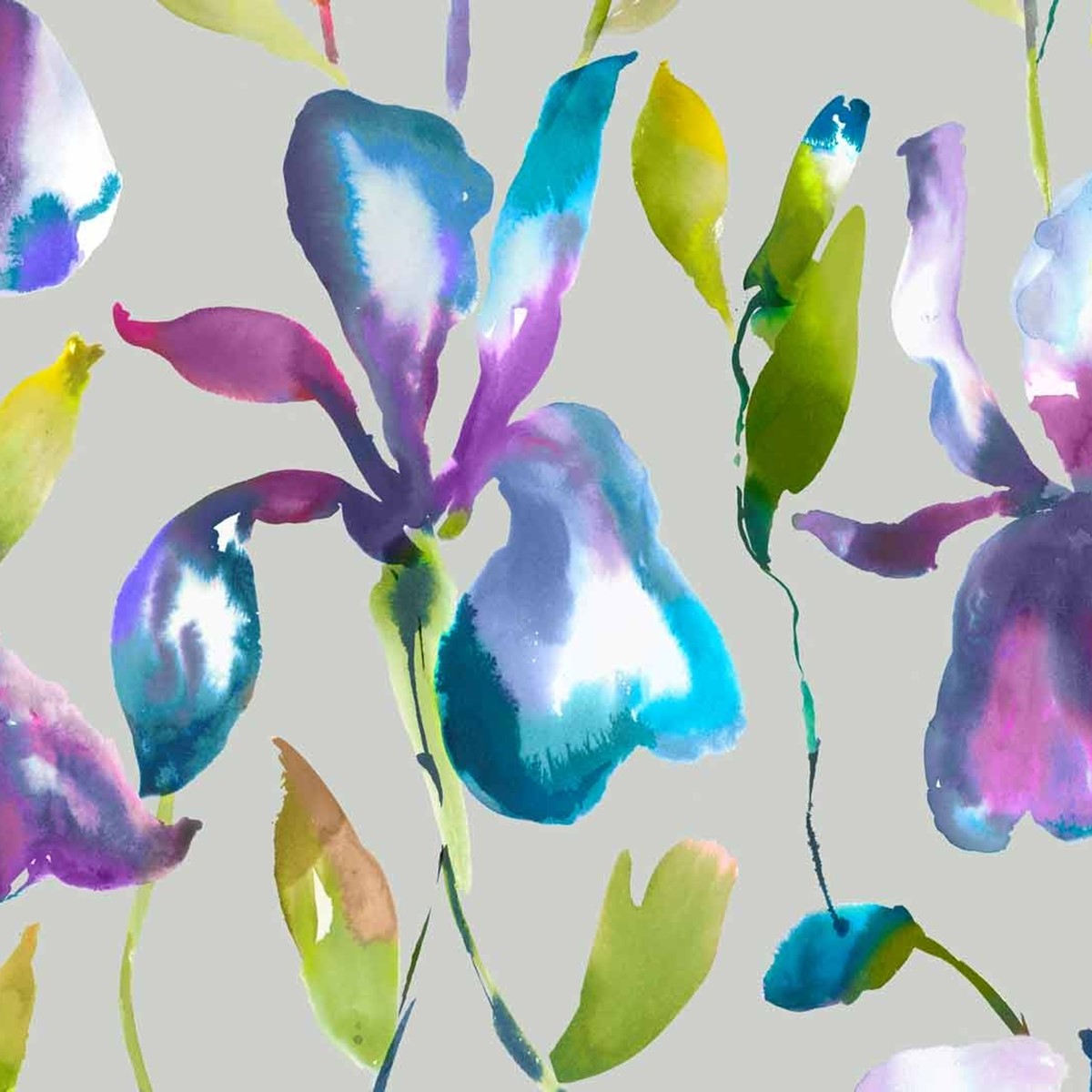 Ayun Orchid