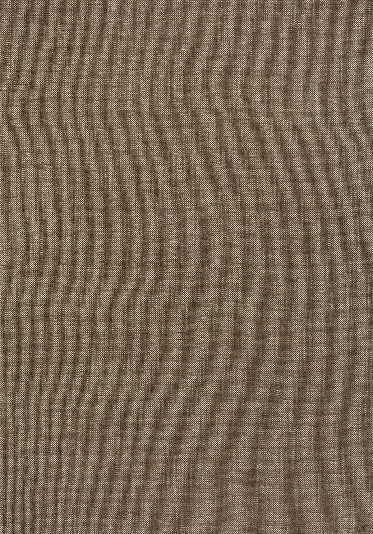 Bailey W80502