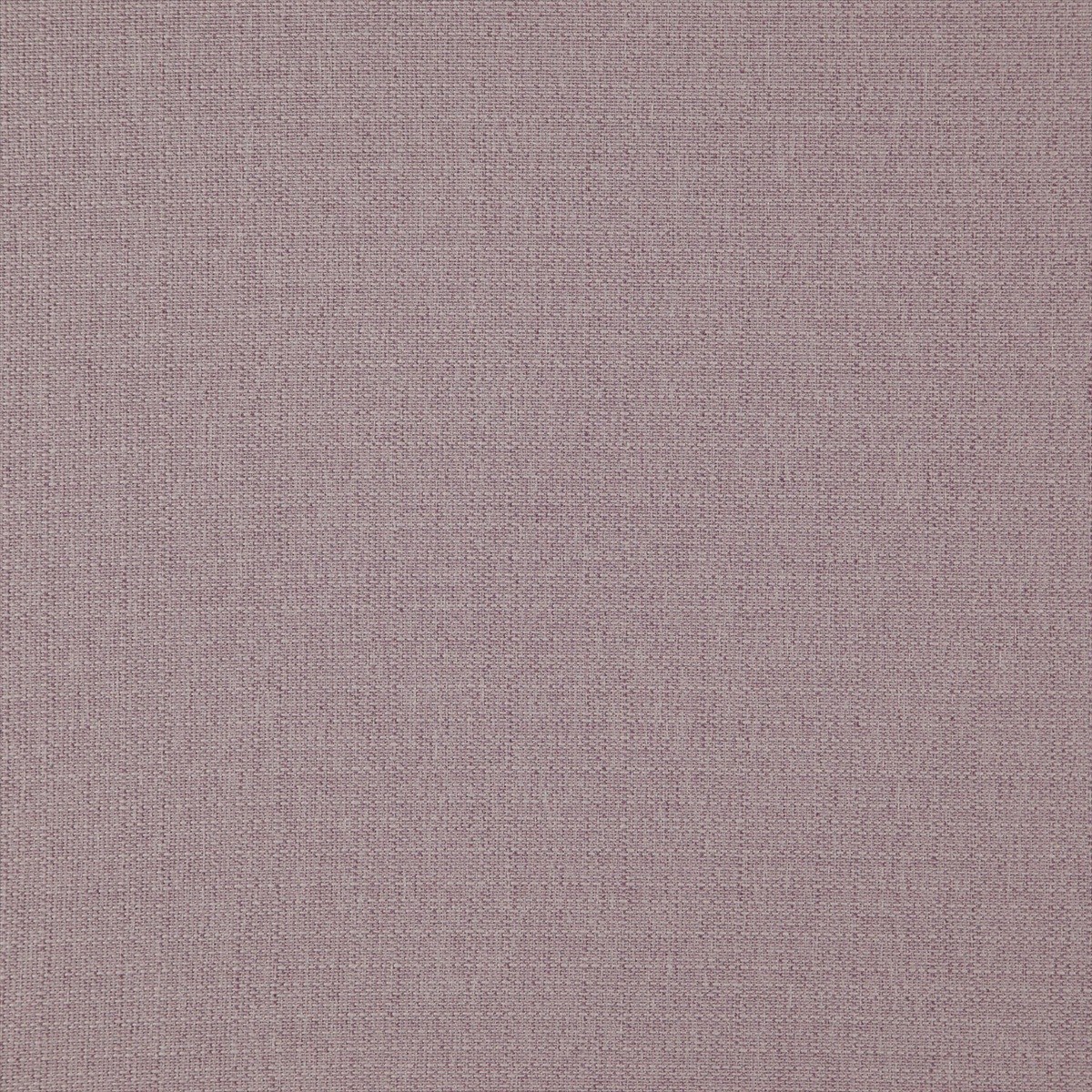 Bainbridge 17 Lavender