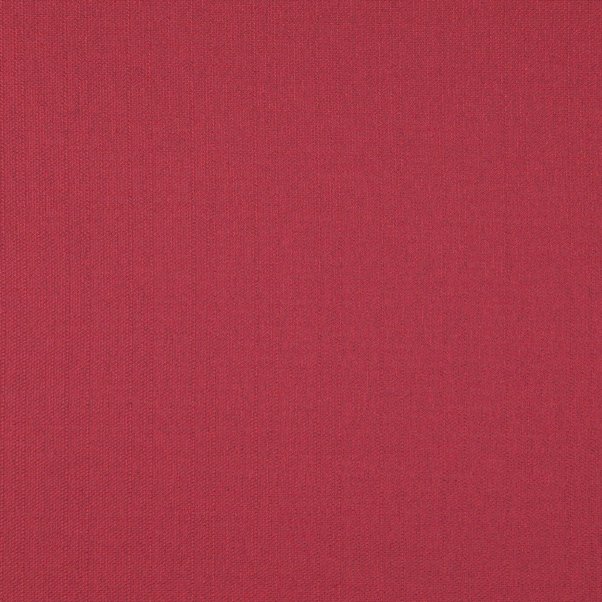 Bainbridge 20 Rose