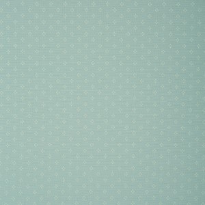 Baird LF1154FR-19