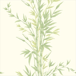 Bamboo 100-5023