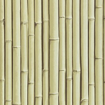 Bamboo Buzz 23 Rattan