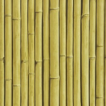 Bamboo Buzz 24 Hay