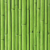 Bamboo Buzz 26 Amazone
