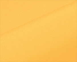 Bandaro 3655-21