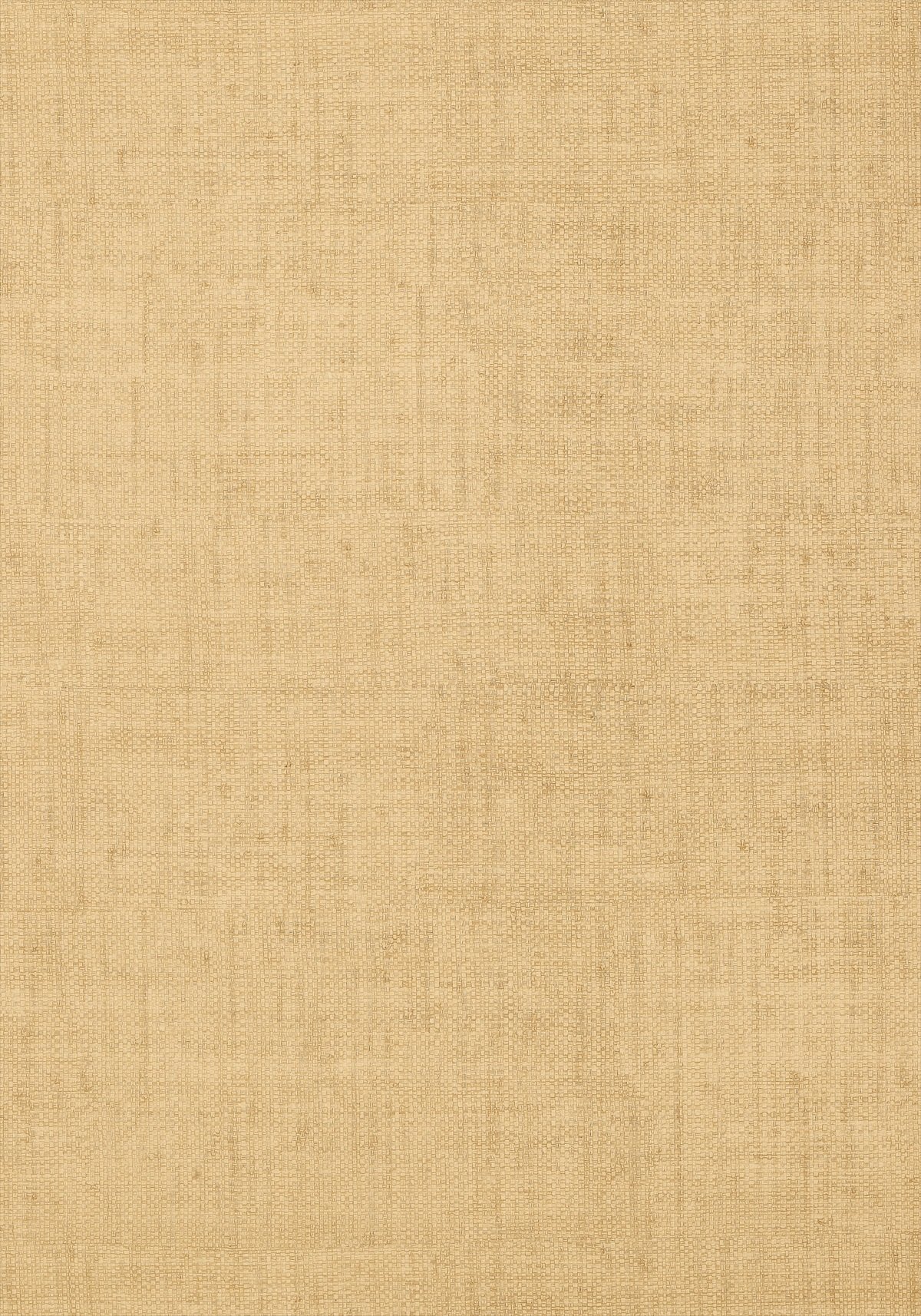 Bankun Raffia 839-T-T14147