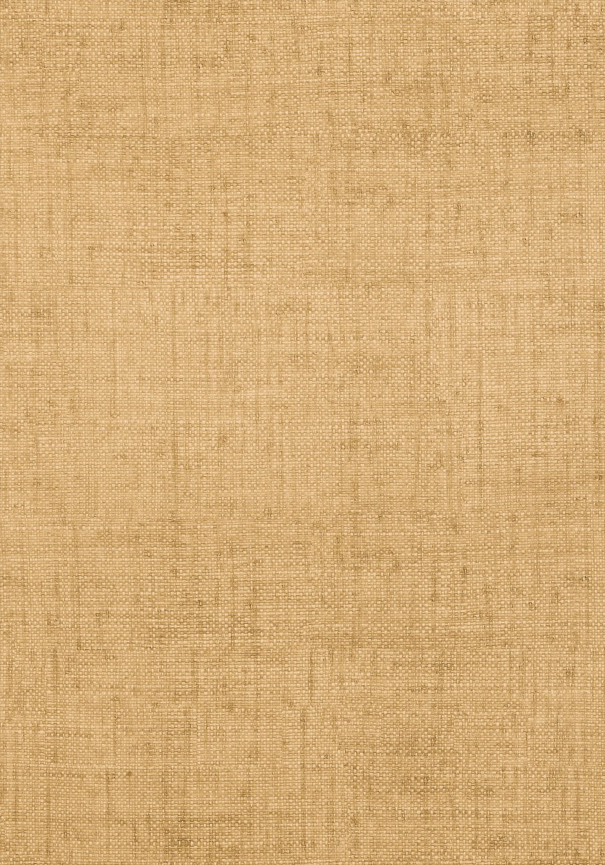 Bankun Raffia 839-T-T6811
