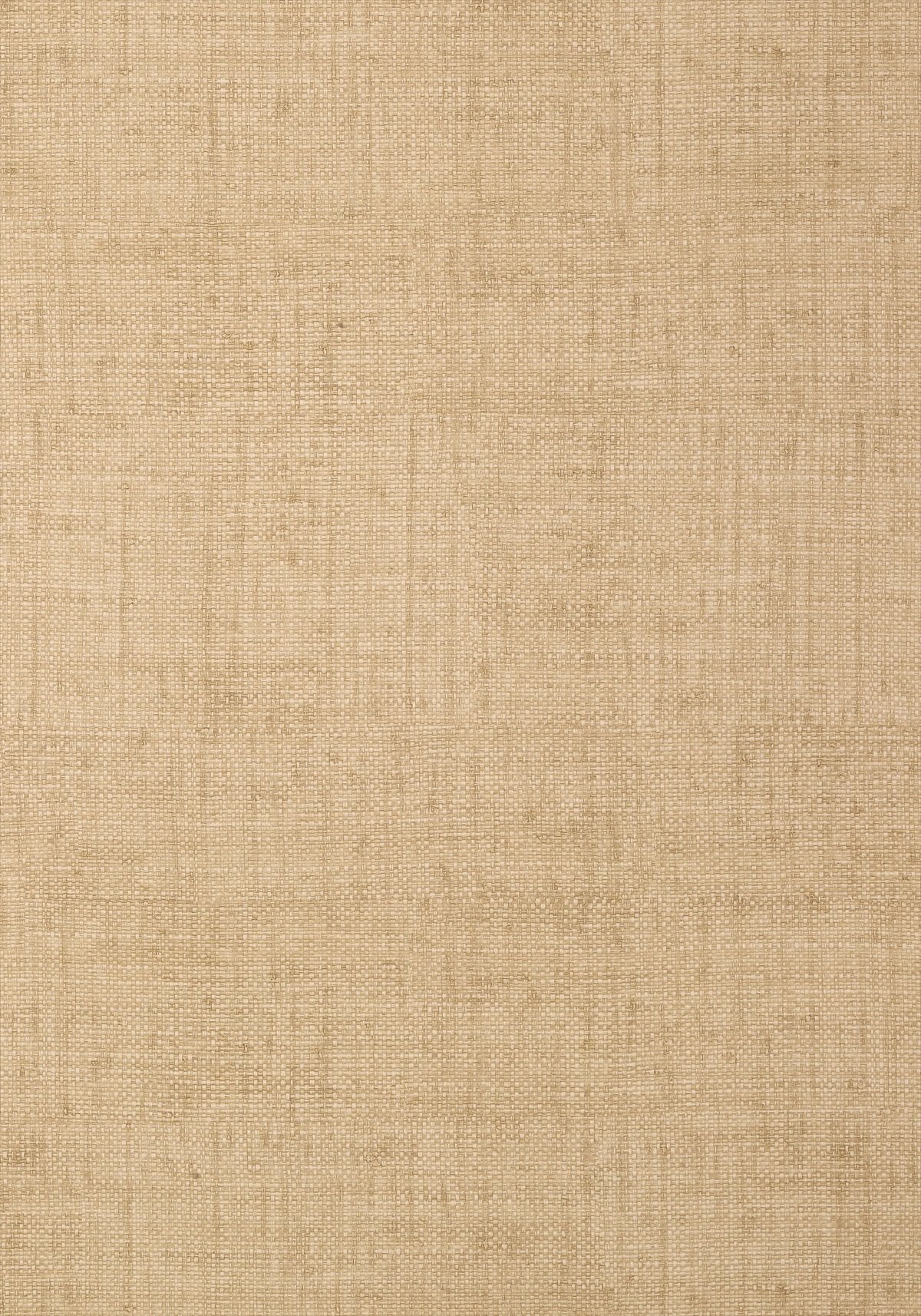 Bankun Raffia 839-T-T6817