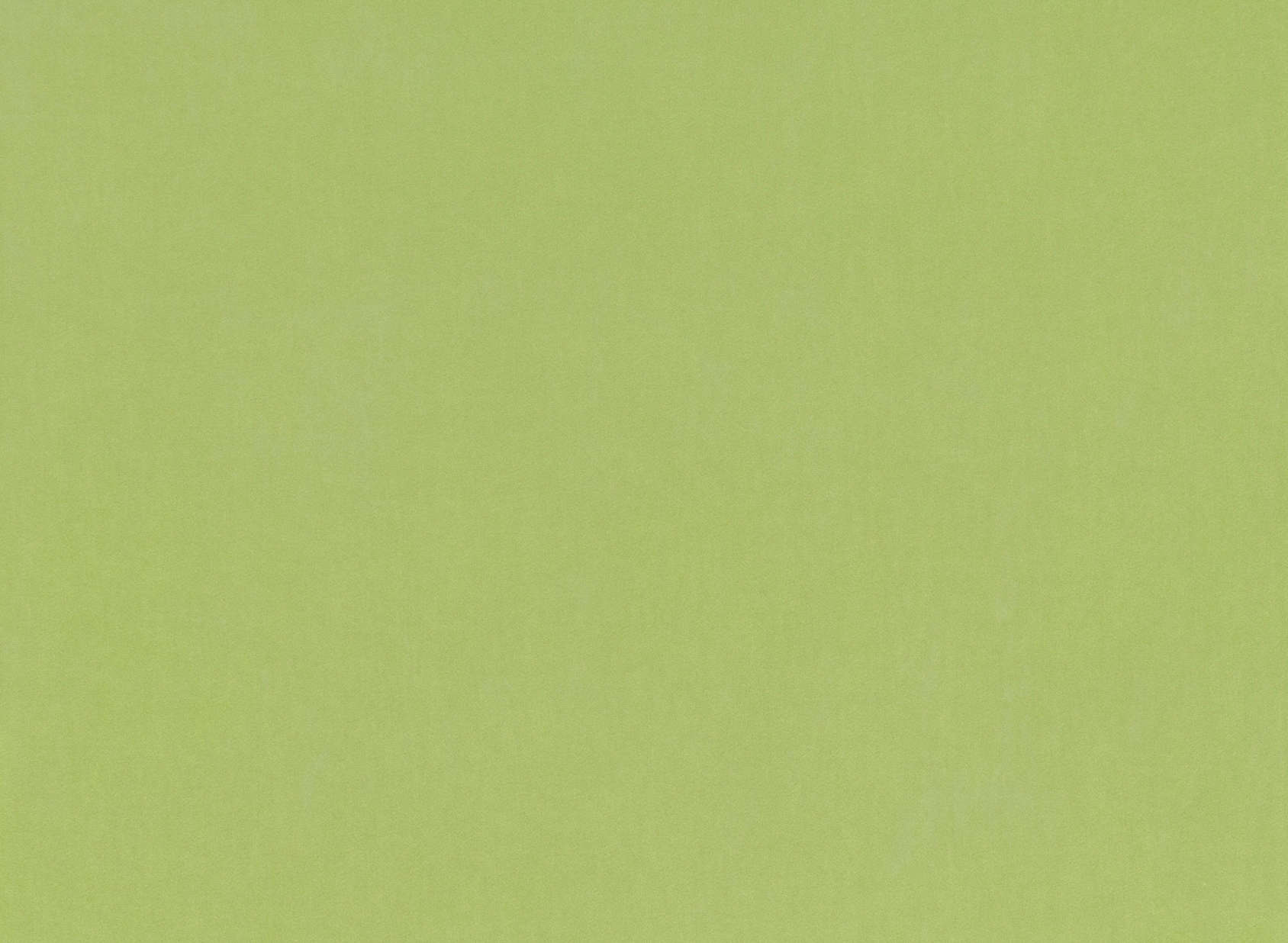 Barcelona Matcha V3347-47