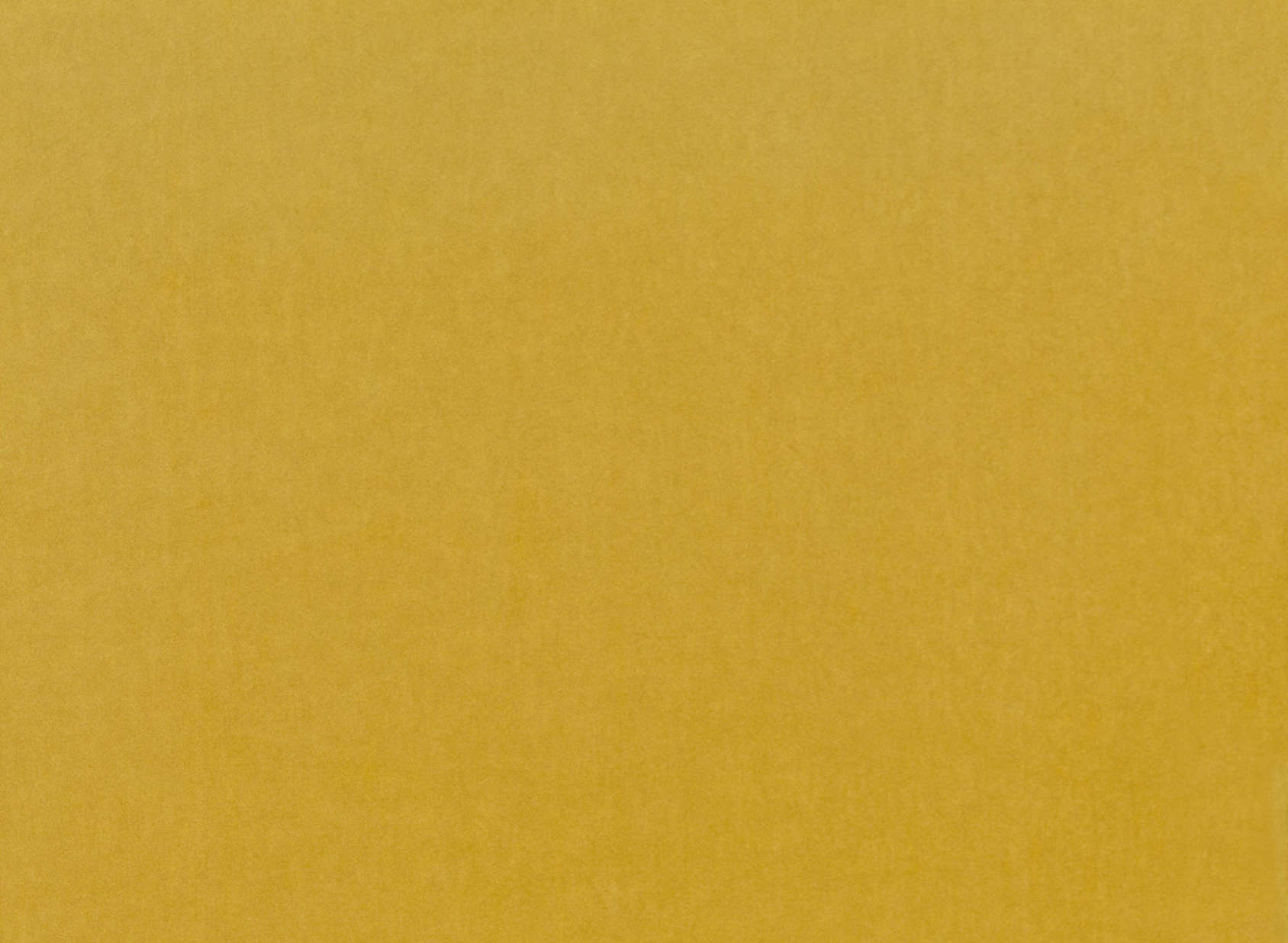 Barcelona Plantain V3347-02