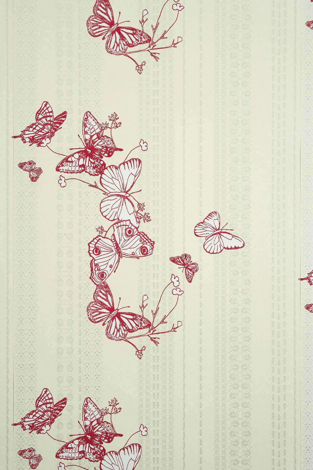 Bugs And Butterflies Wallpaper Raspberry