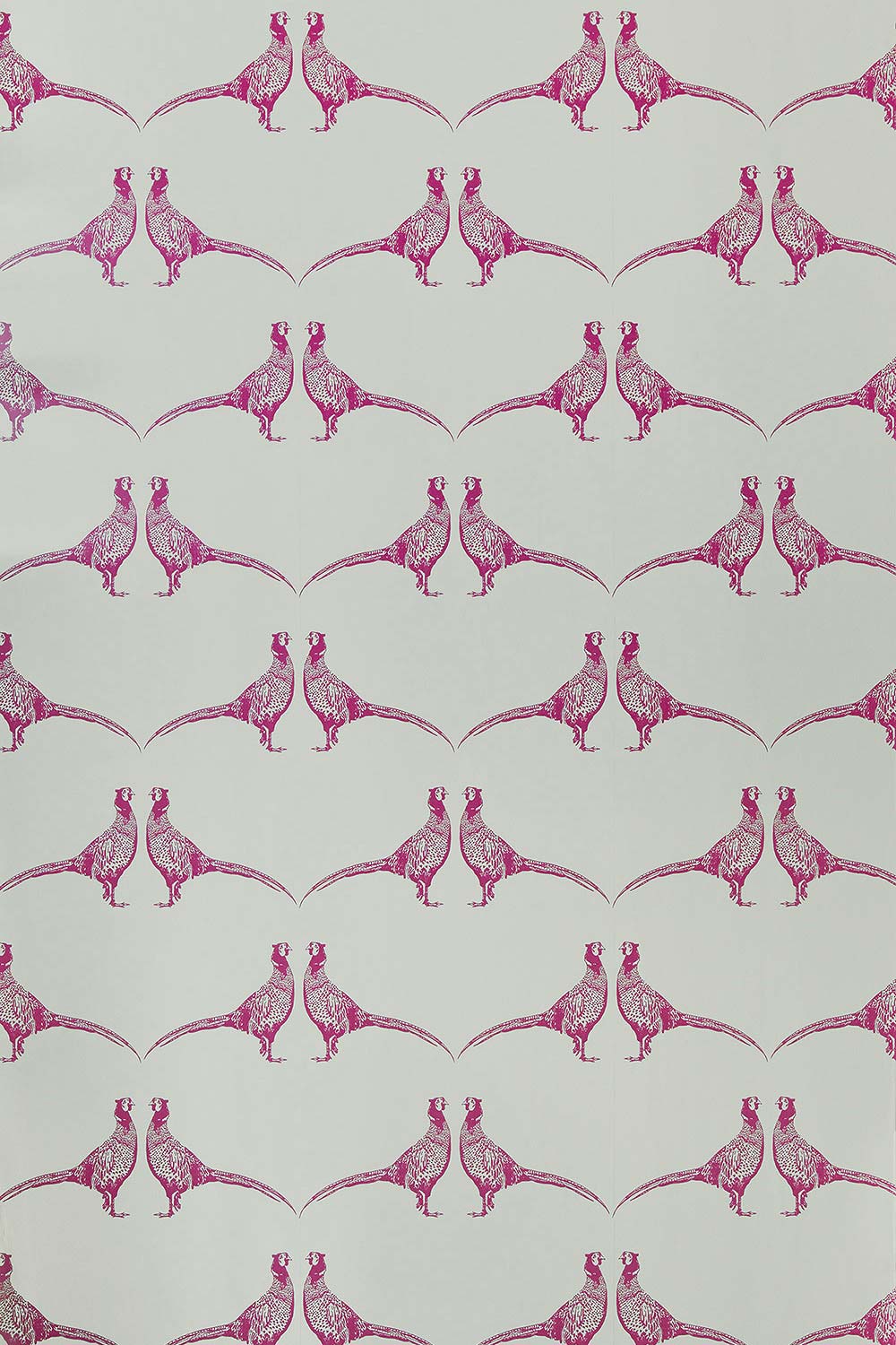 Pheasant Wallpaper Pink