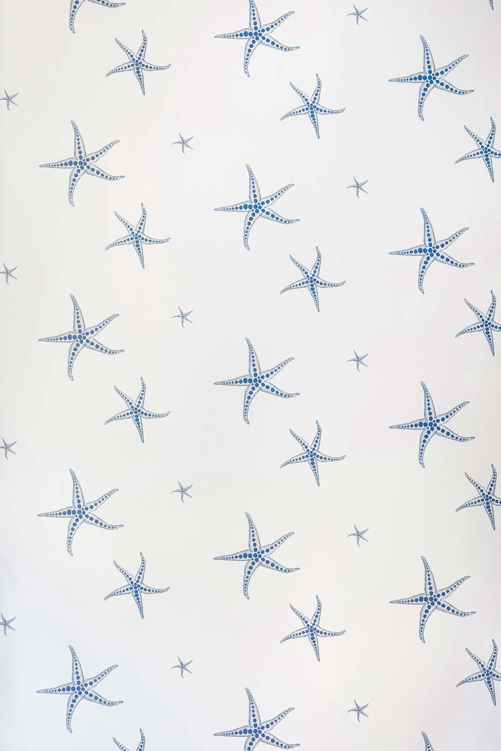 Starfish Wallpaper Blue On Parchment