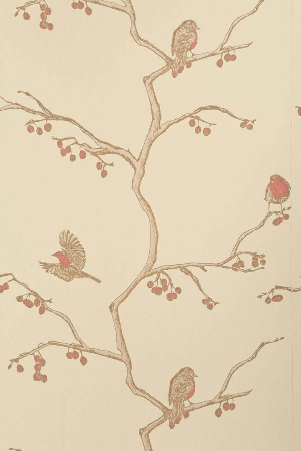The English Robin Wallpaper Parchment