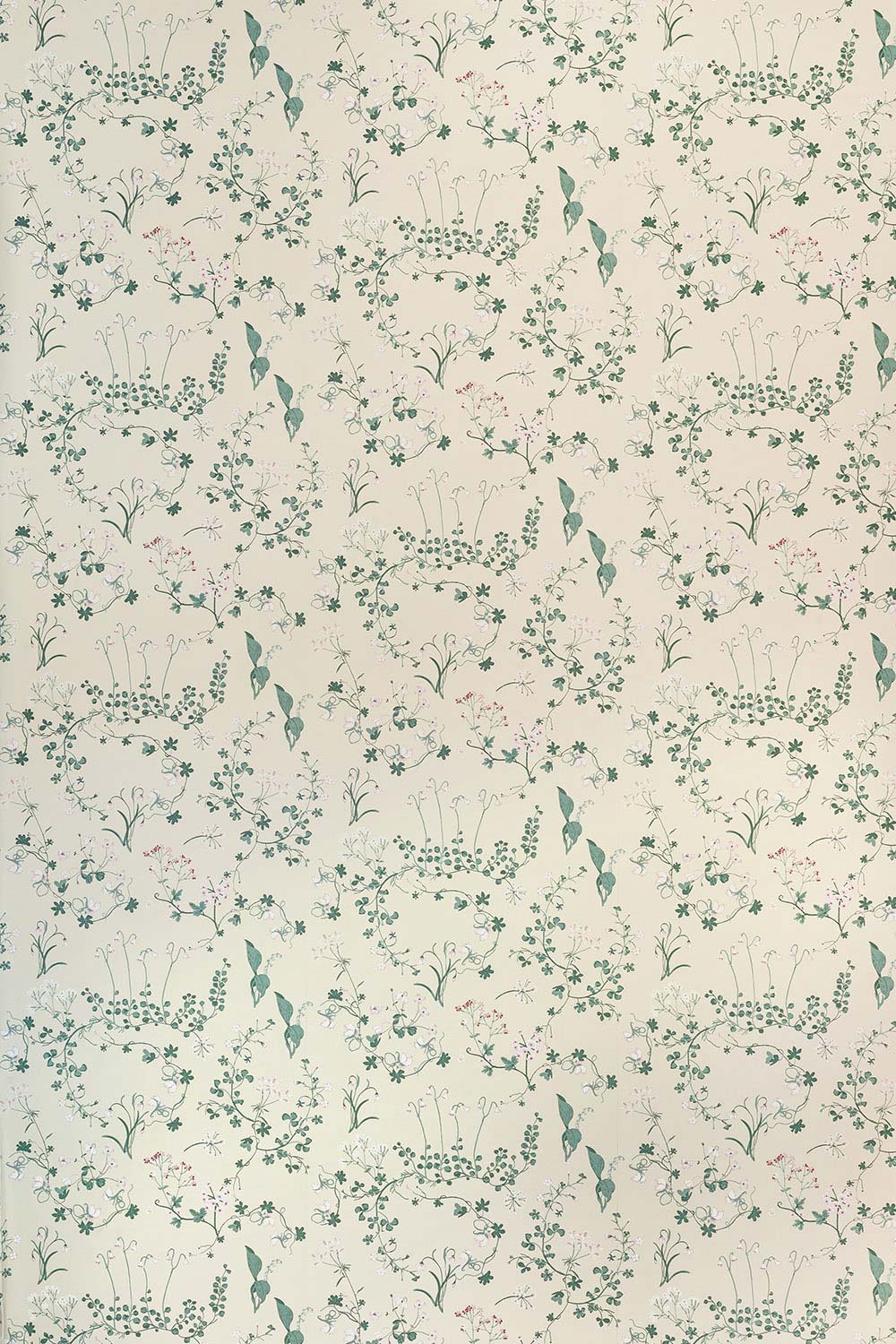 Willow Crossley For Barneby Gates Botanica Ivory