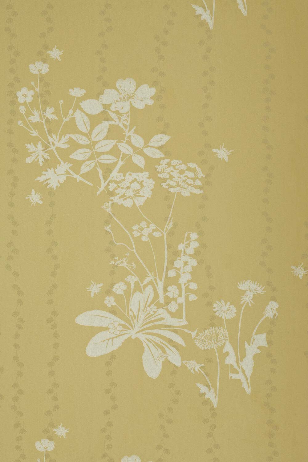 Wild Meadow Wallpaper Dandelion