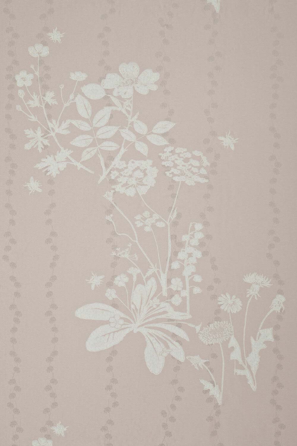 Wild Meadow Wallpaper Plaster