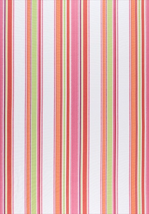 Barnegat Stripe W80100