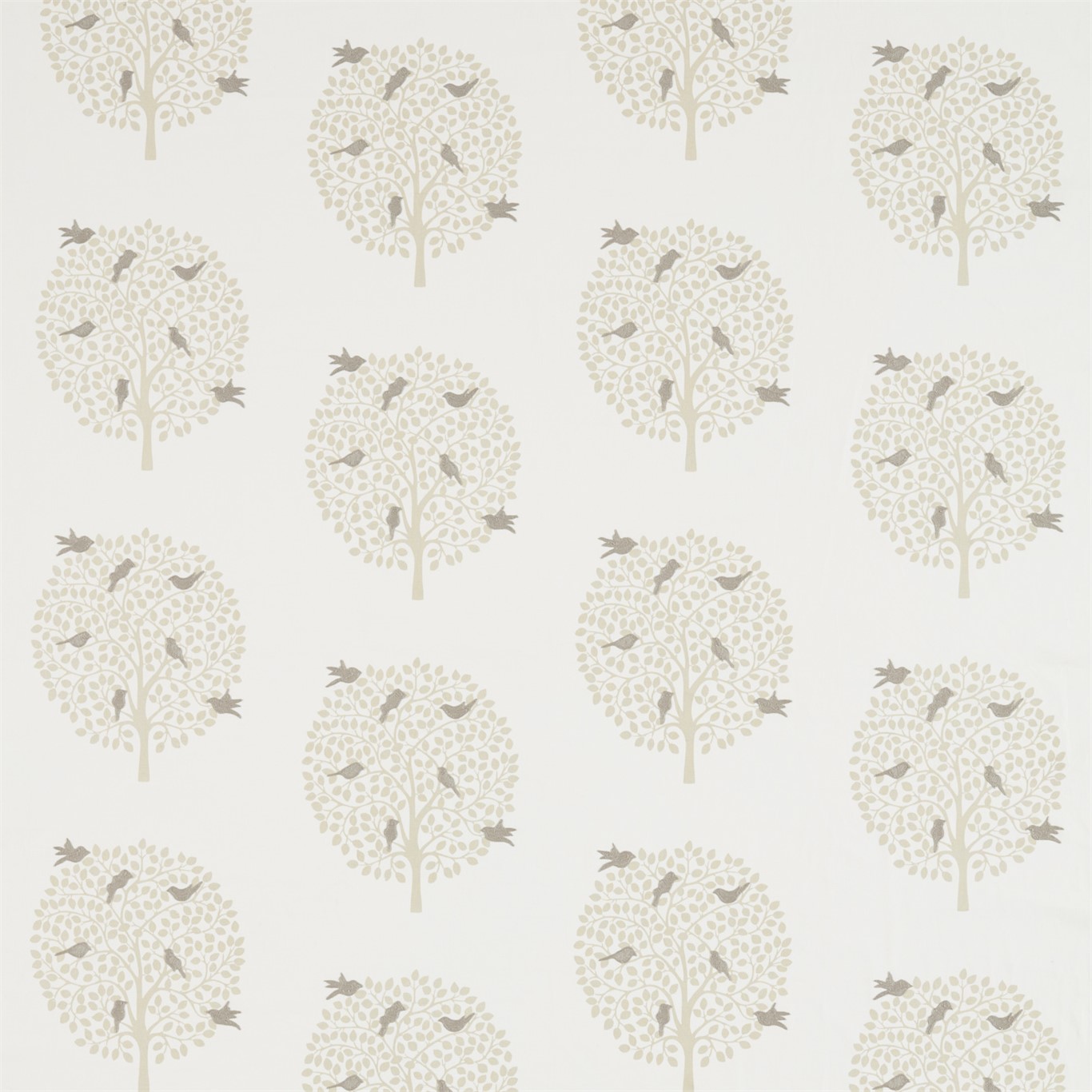 Bay Tree 236430