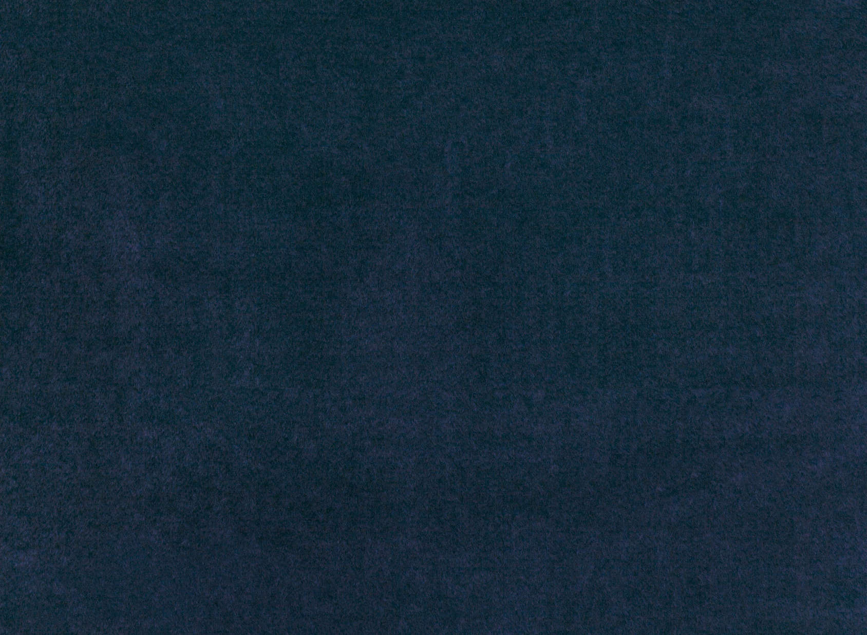 Bear Midnight K5233-06