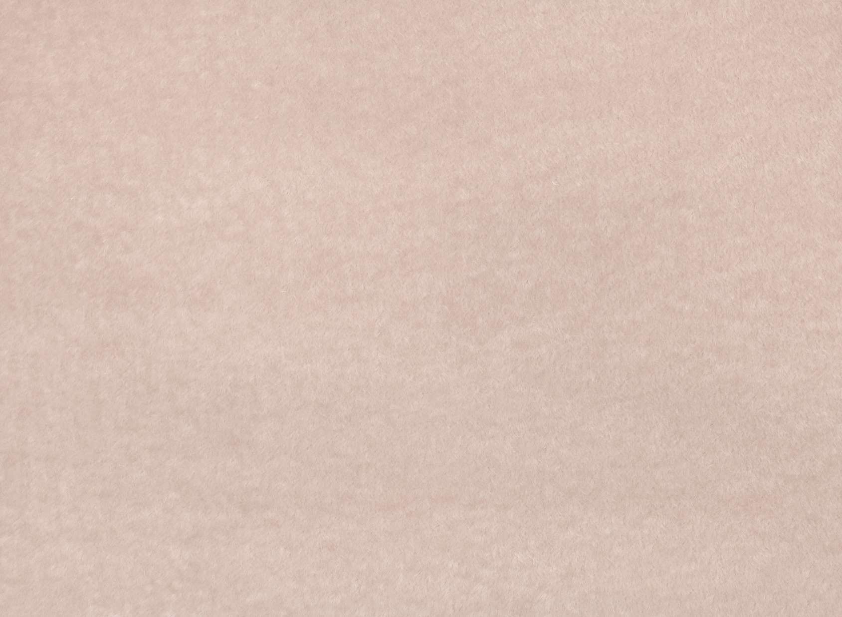 Bear Powder K5233-04