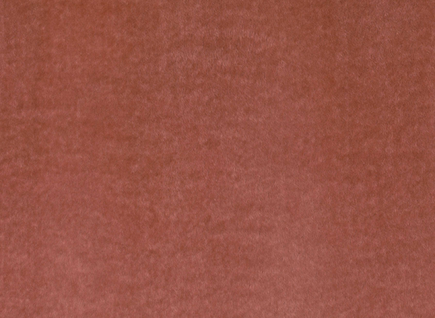 Bear Vintage Rose K5233-05