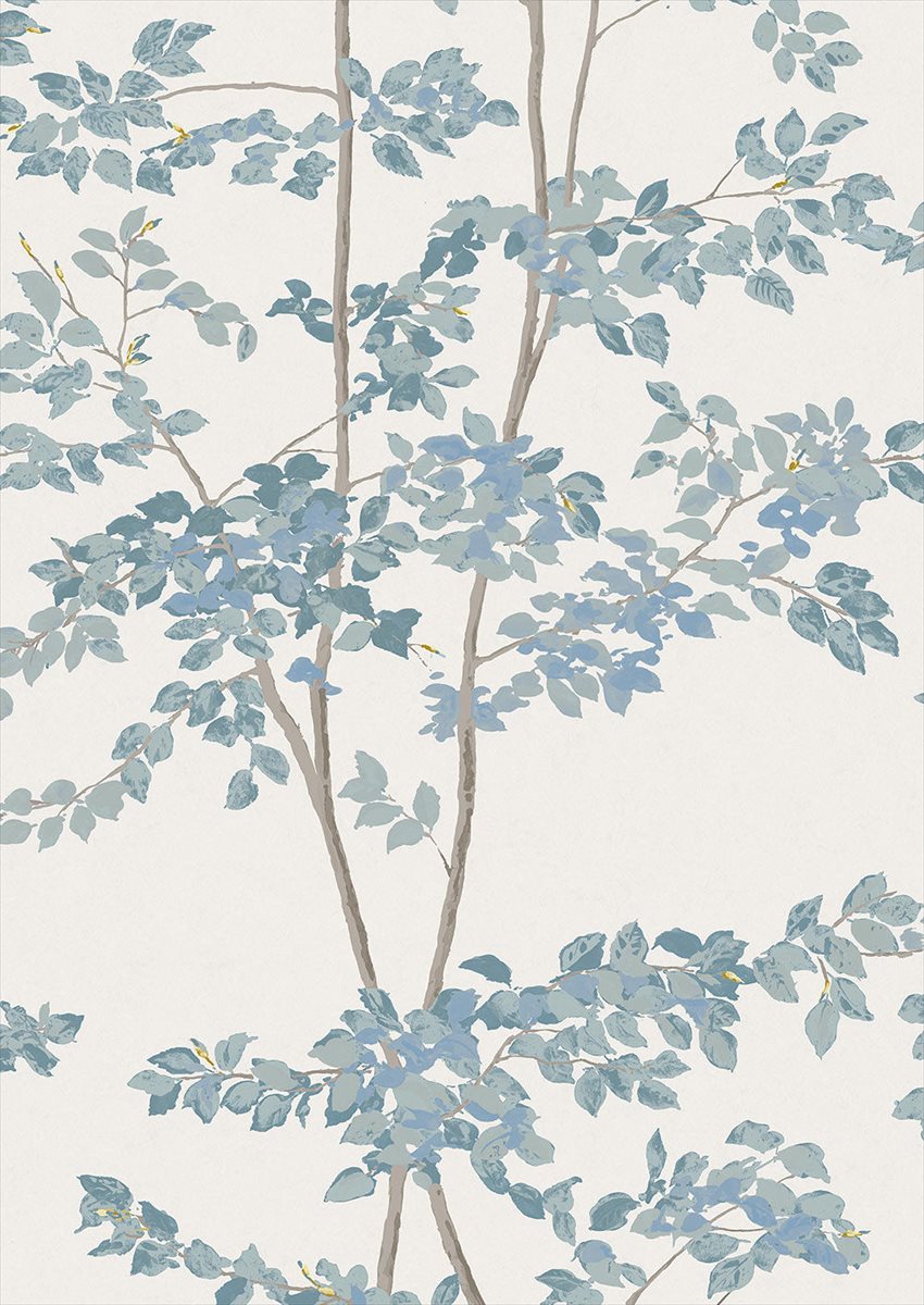 Beech Bluegrass Wallpaper