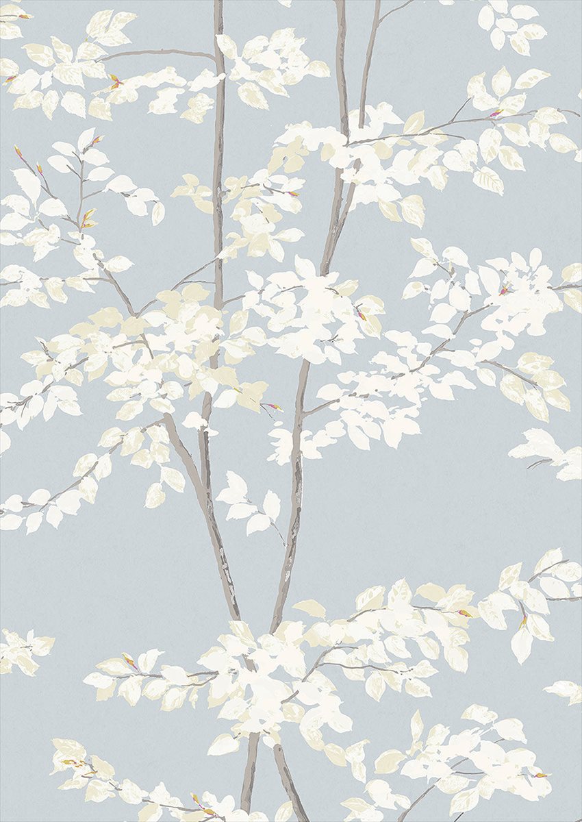 Beech Cirrus Fabric