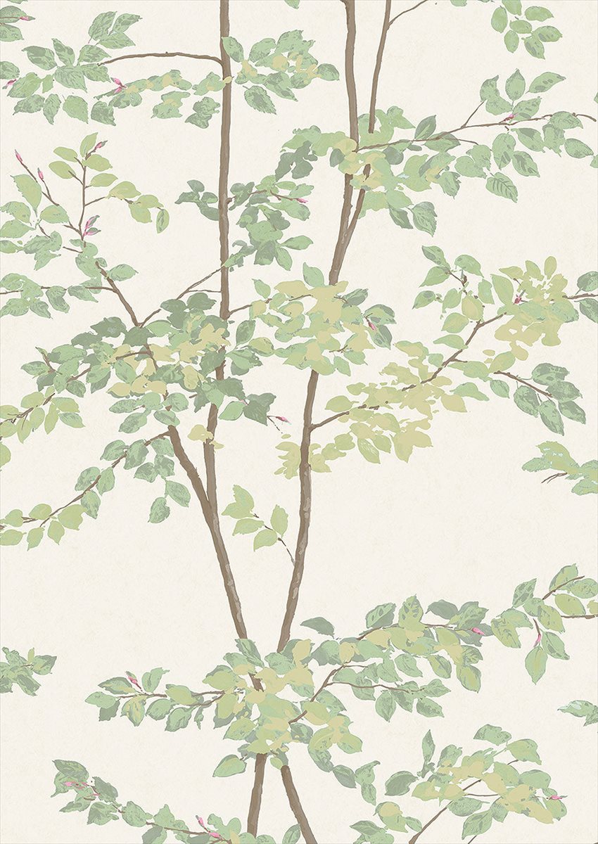 Beech Document Green Wallpaper