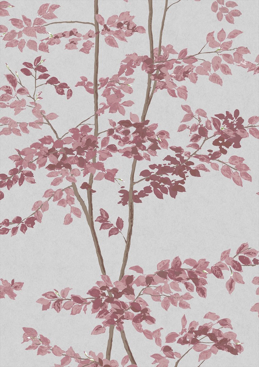 Beech Rose Wallpaper