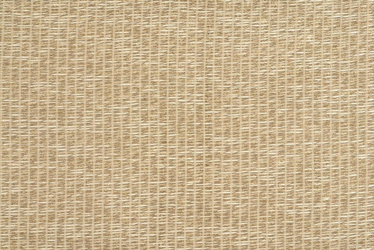Bejo Sheer 3668-4