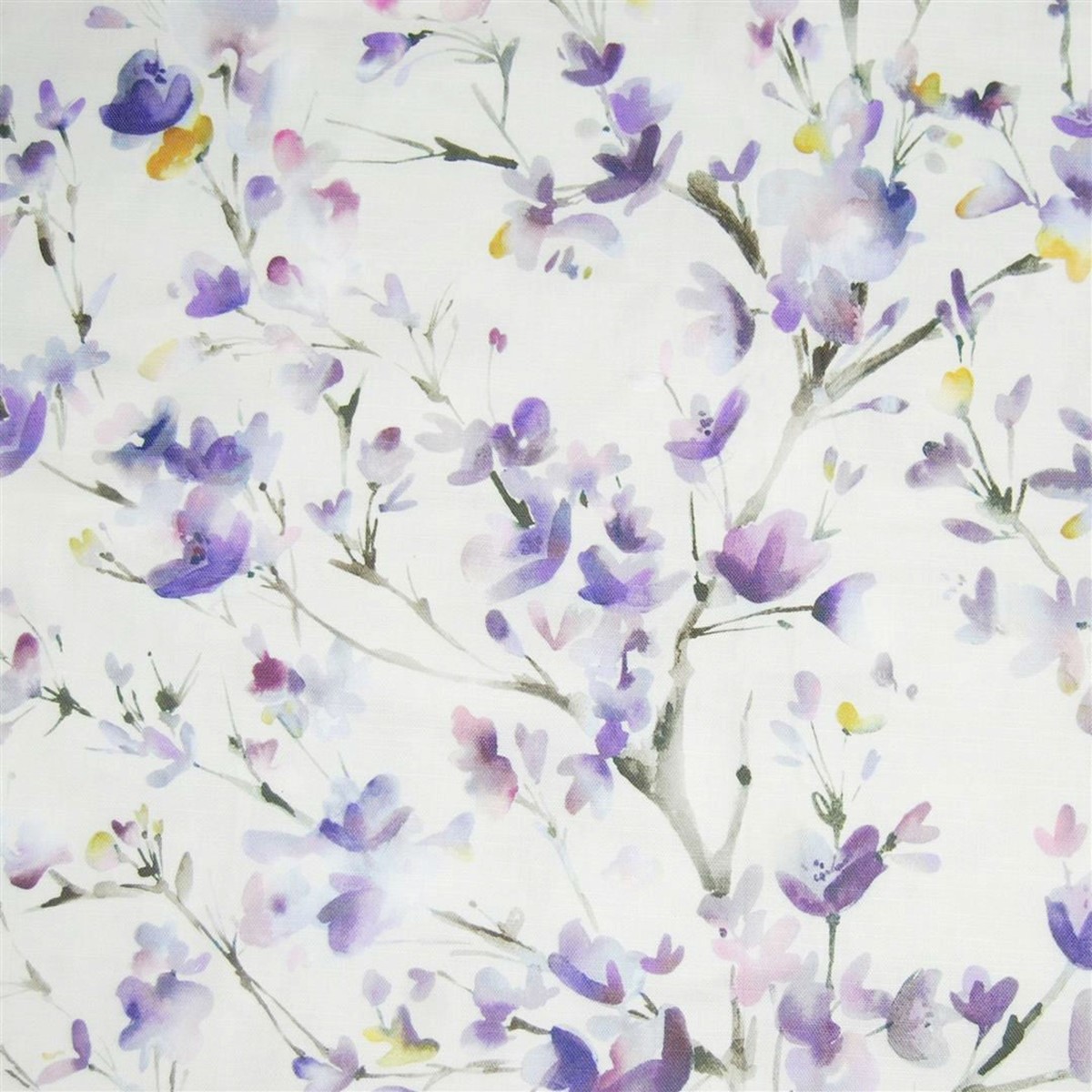 Belsay Heather