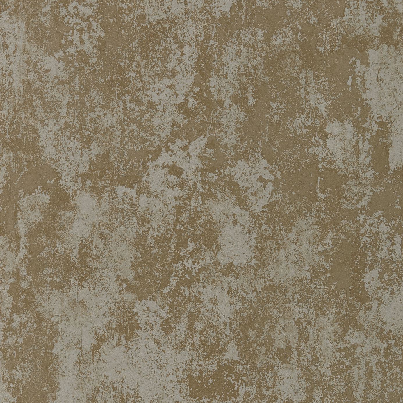 Belvedere HGAT111248