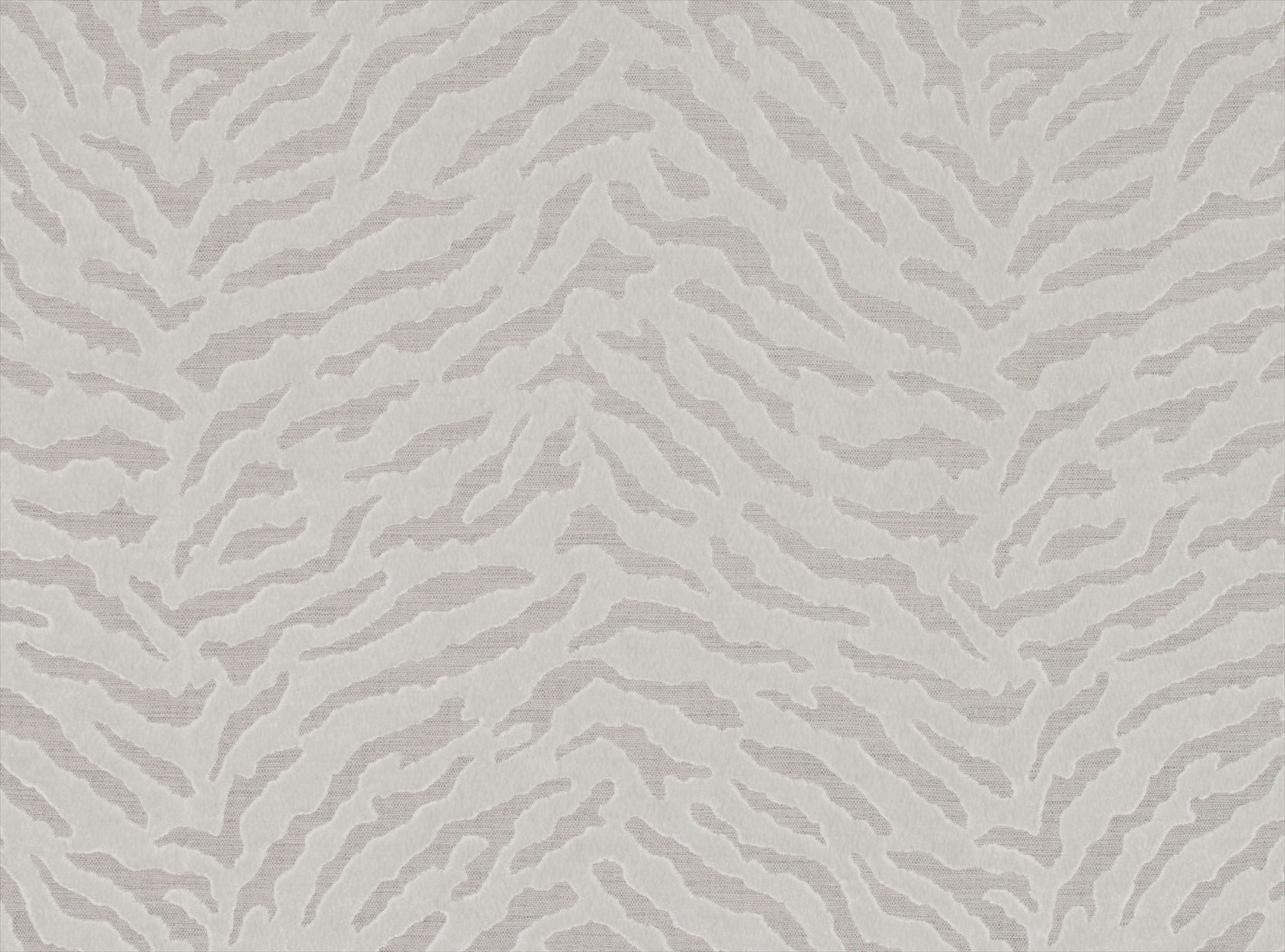 Bengal Z513-01