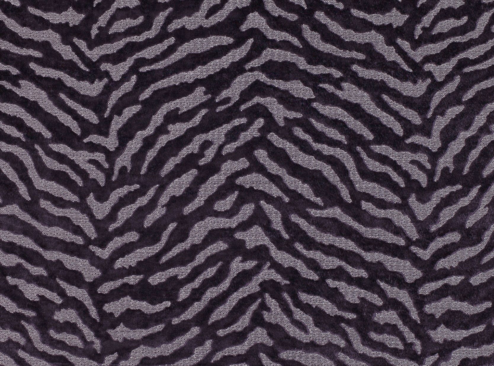 Bengal Z513-06