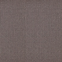 Bergo 150 Terra