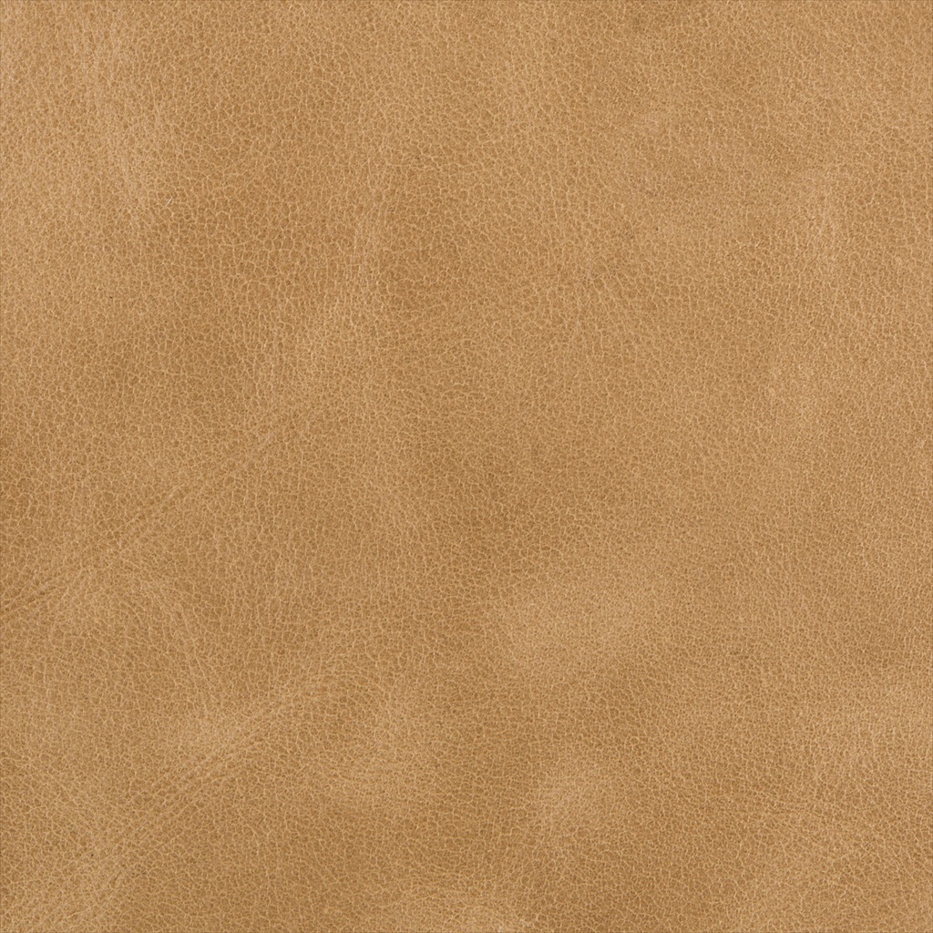 Bern L-BERN-SCOTCH