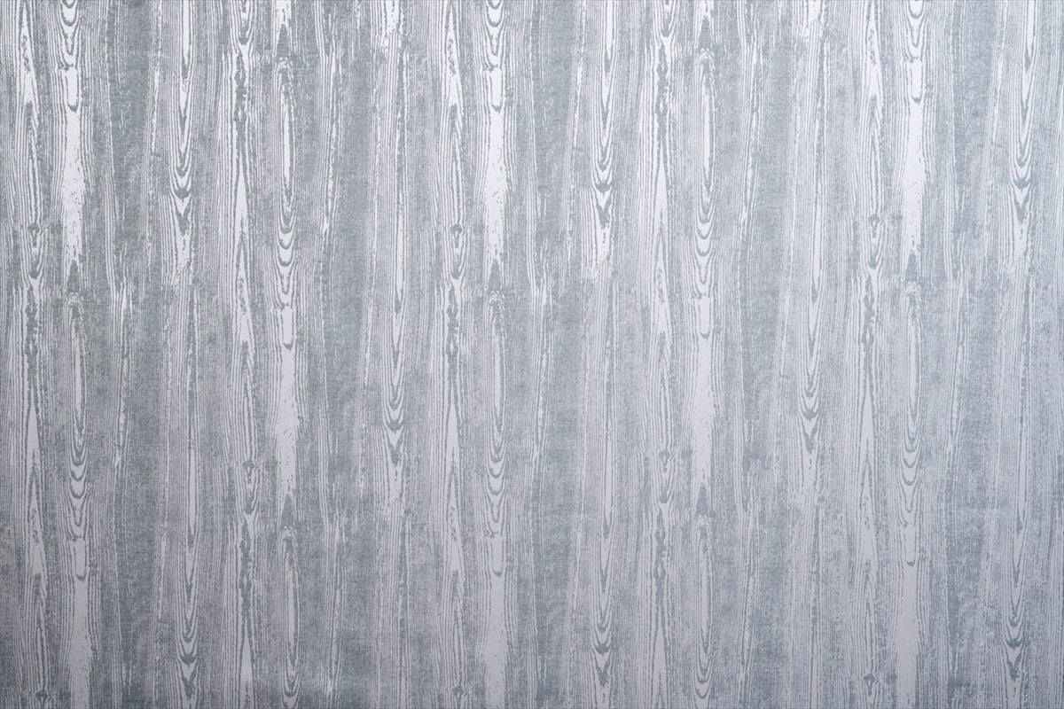 Betula Fog
